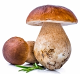 Picture for category Berries & Mushrooms