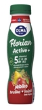 Picture of DRINK YOGHURT FLORIAN ACTIVE DRINK APPLE-PEAR-MEALS WITHOUT GLUTEN 320g OLMA BEZLEP (box*8)